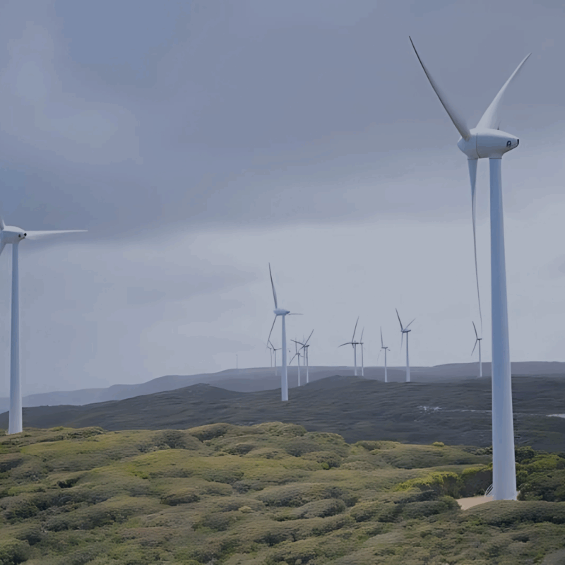 Wind turbines in renewable energy production.