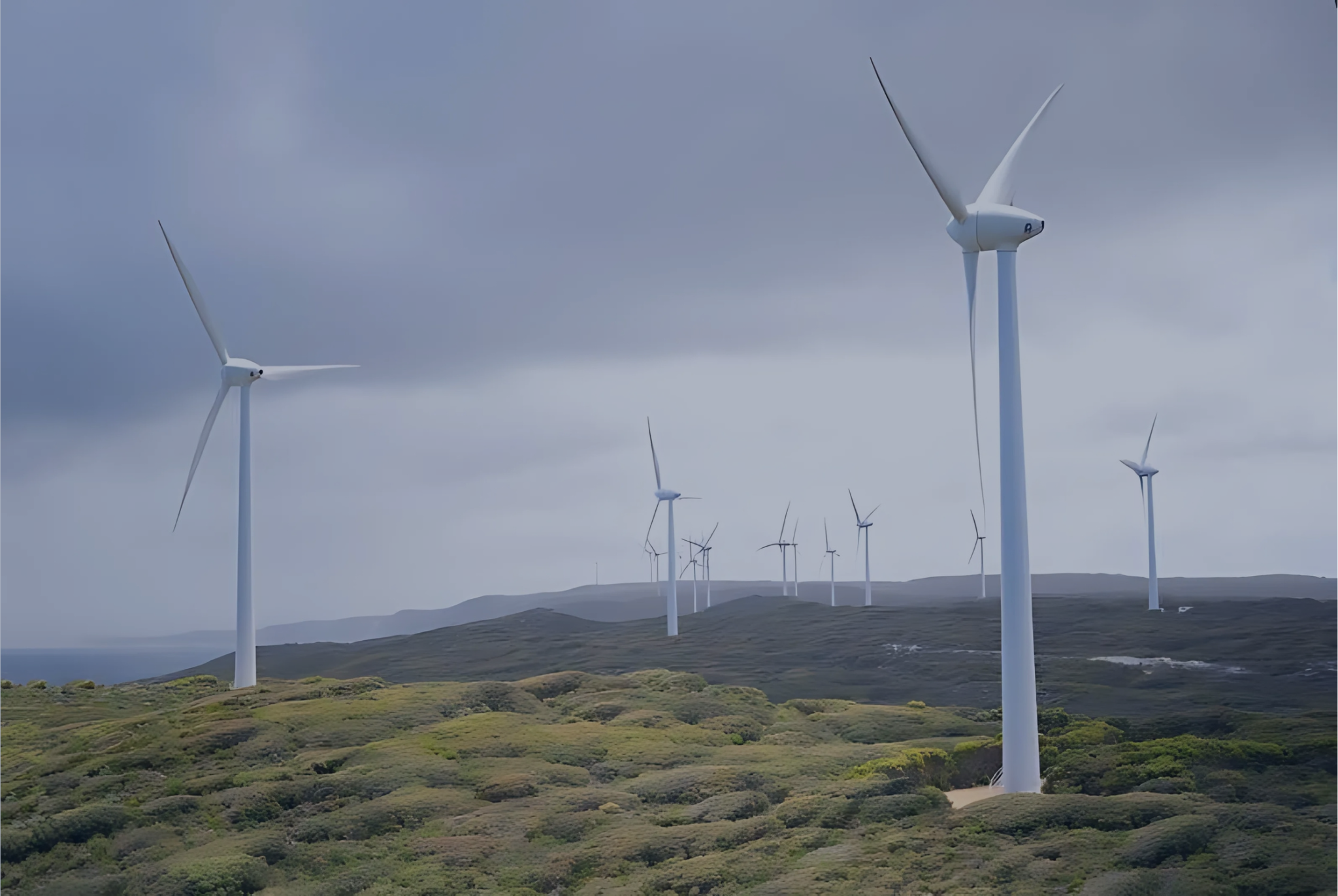Renewable Energy: Driving Global Sustainability and a Greener Future